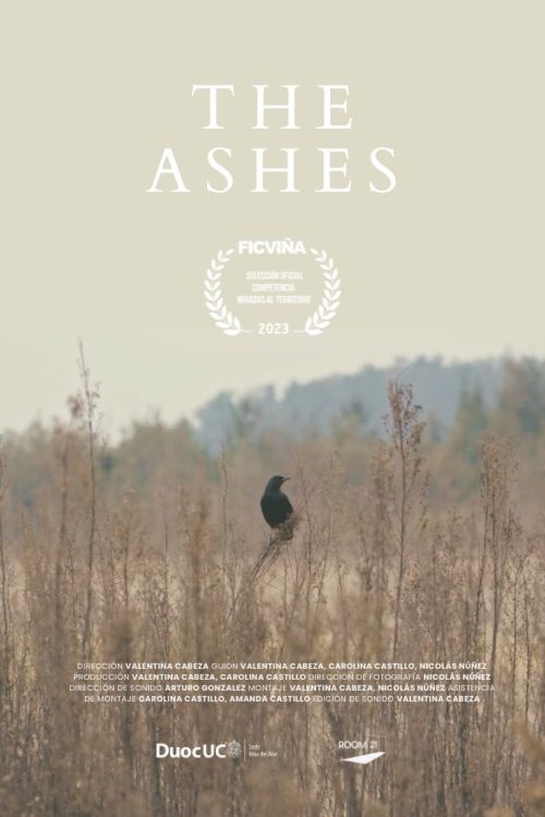 Poster of The Ashes