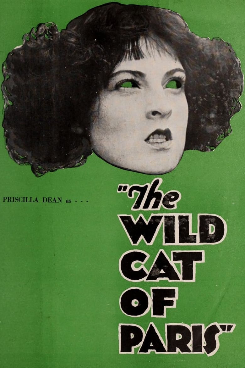 Poster of The Wildcat of Paris