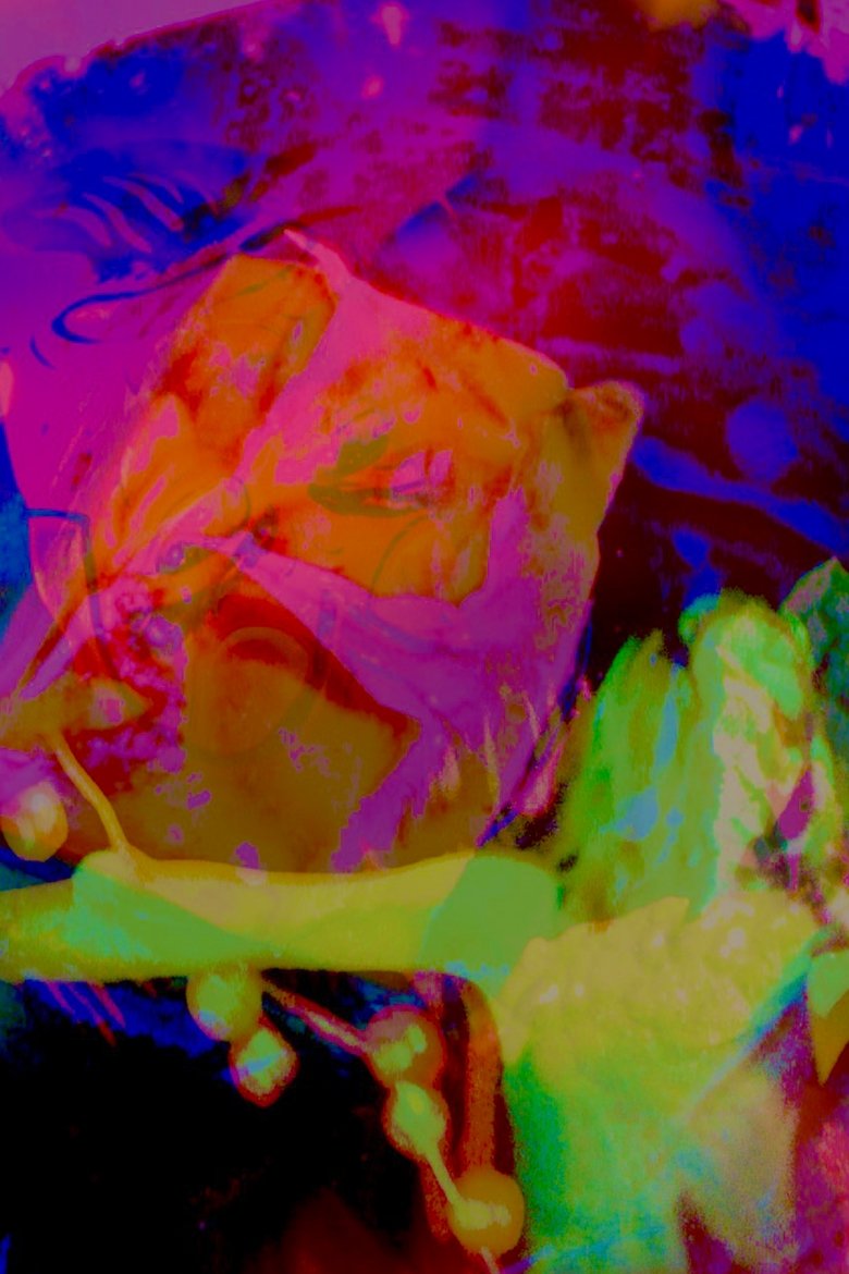 Poster of Hannah's Psycho-delic Adventure