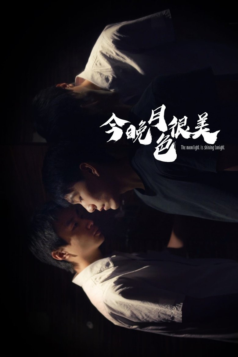 Poster of The Moonlight is Shining Tonight