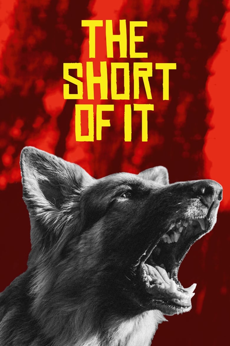 Poster of The Short of It