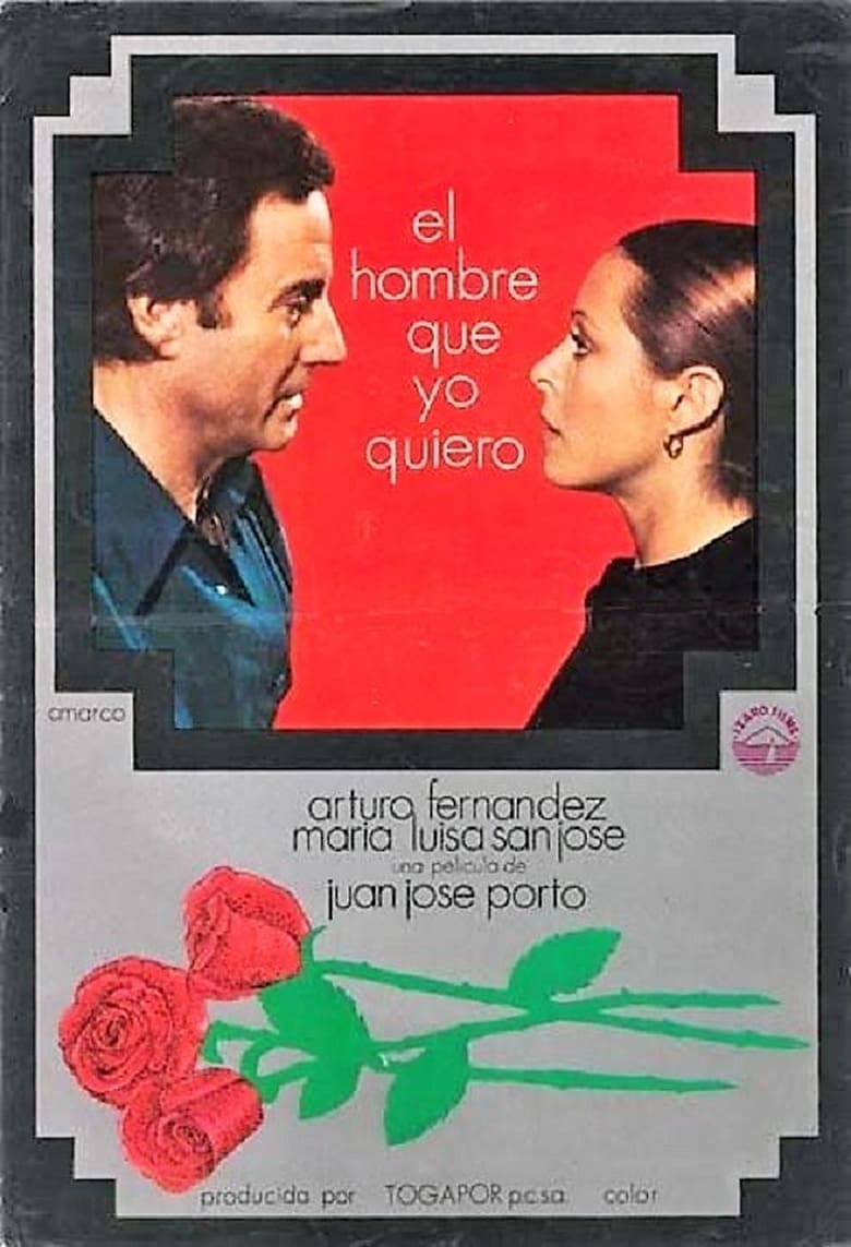 Poster of El hombre que yo quiero