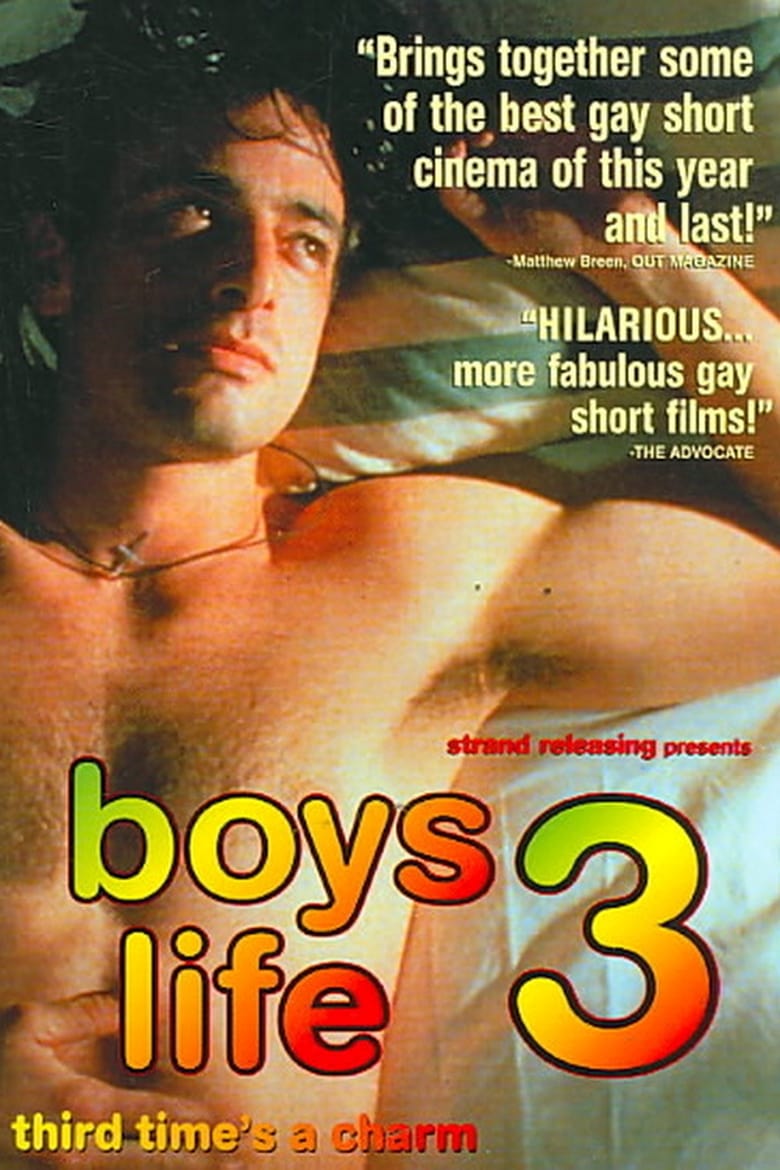 Poster of Boys Life 3