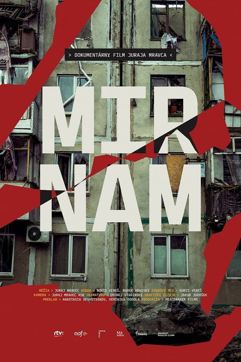 Poster of Mir Nam