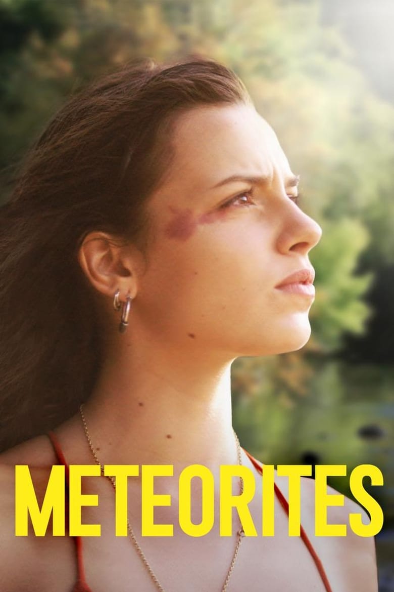 Poster of Meteorites