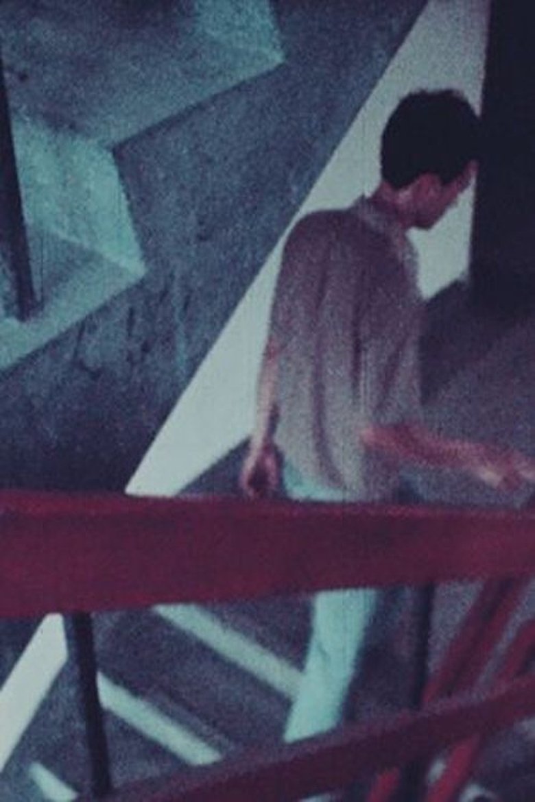 Poster of What to Do about Those Broken Stairs?