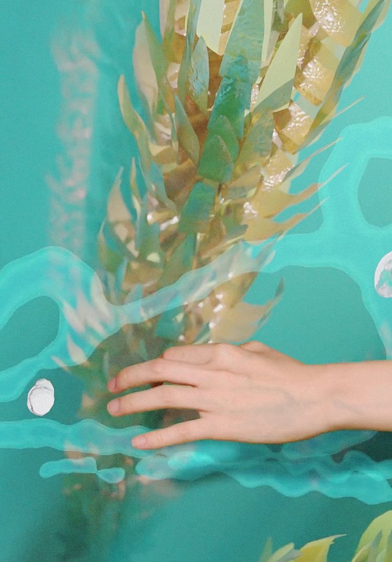 Poster of Doomsday Video