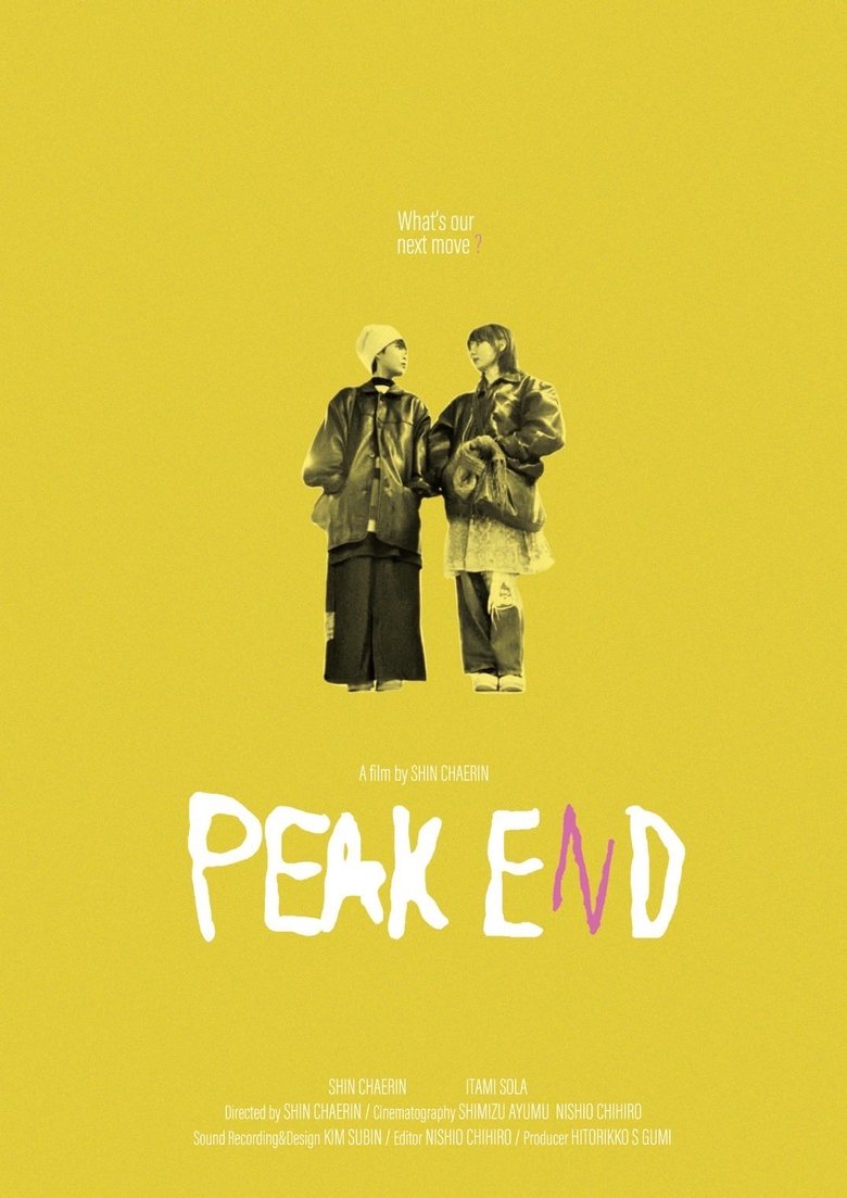 Poster of PEAK END