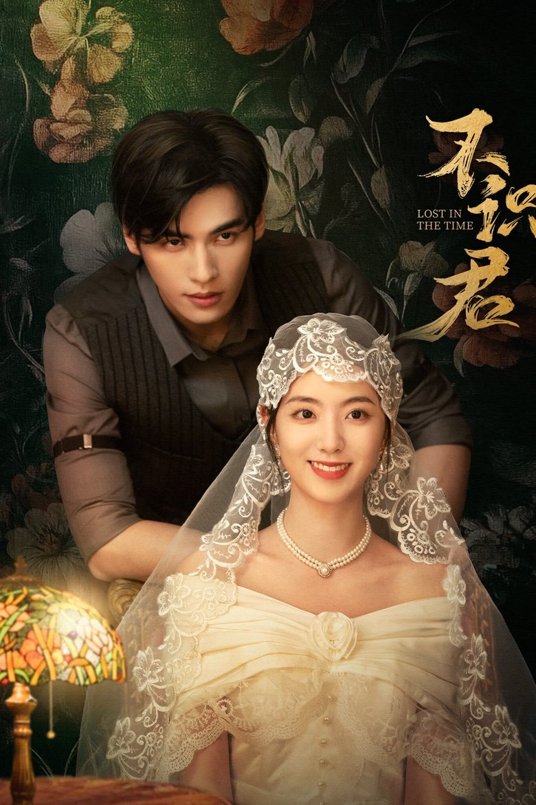 Poster of Lost in the Time