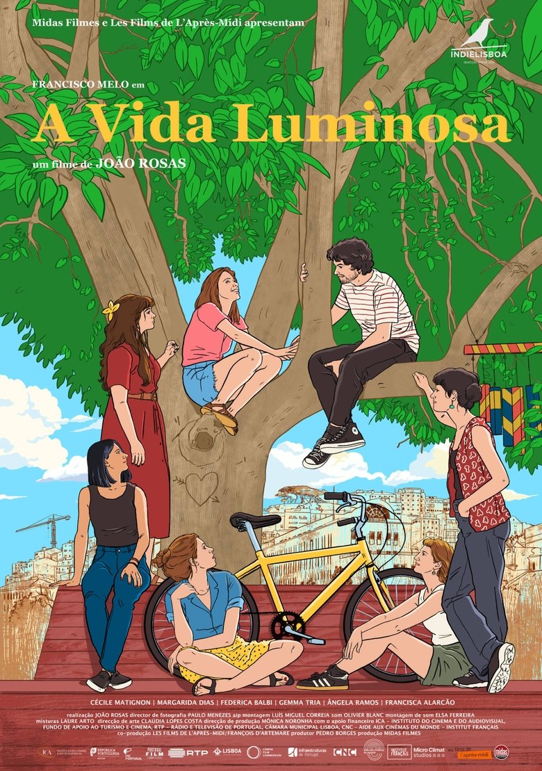 Poster of A Vida Luminosa