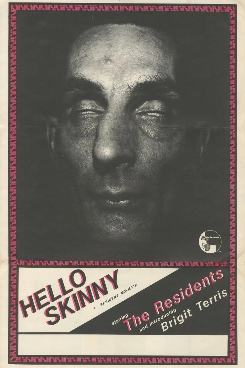 Poster of Hello Skinny