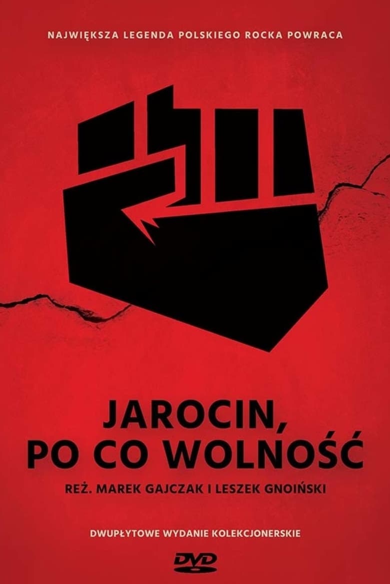 Poster of Jarocin