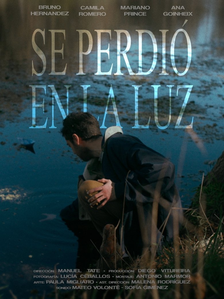 Poster of Se Perdió en la Luz