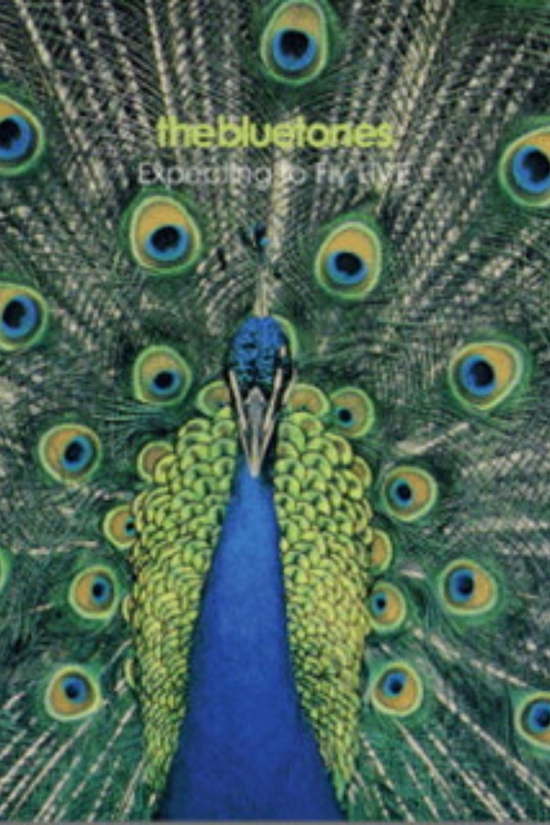 Poster of The Bluetones: Expecting To Fly Live