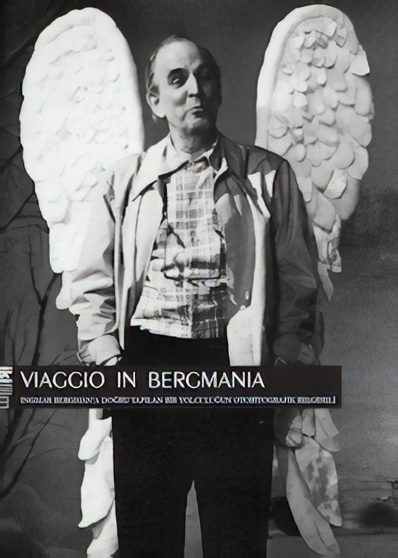 Poster of Viaggio in Bergmania