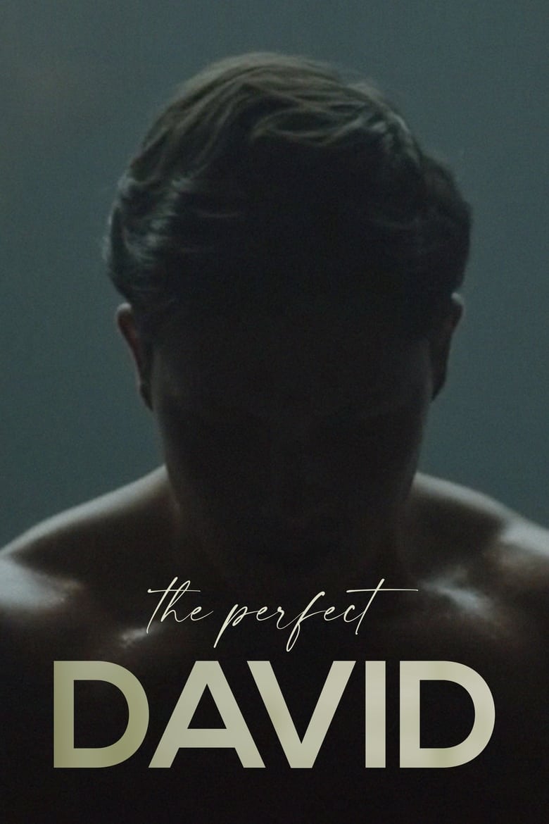 Poster of The Perfect David