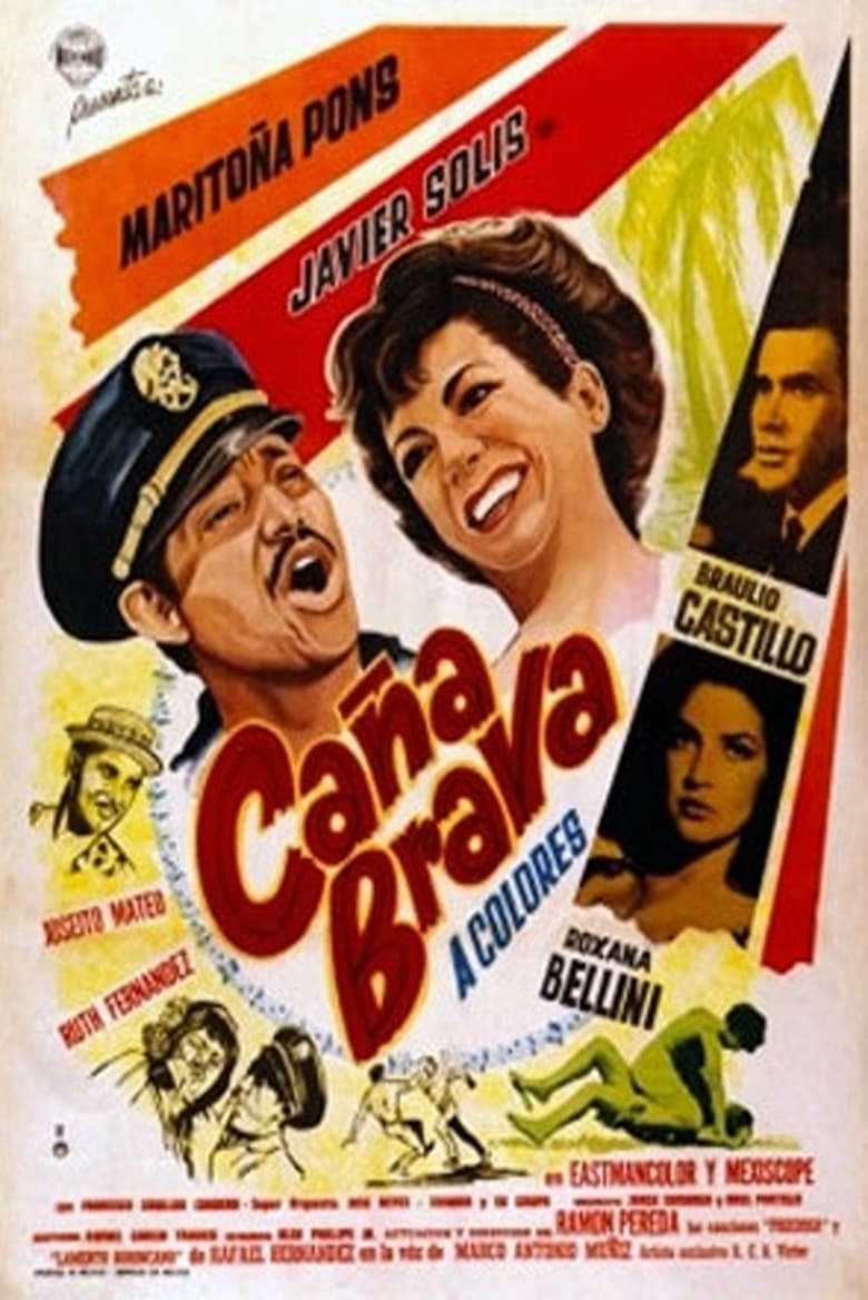 Poster of Caña brava