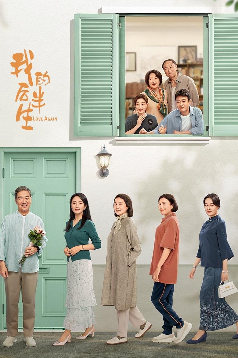 Poster of Love Again