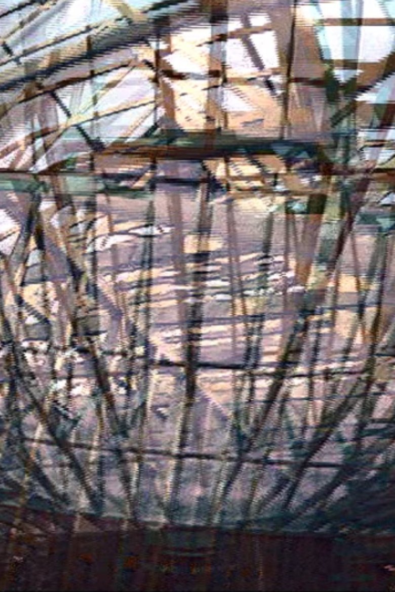 Poster of Aperspectival House Variation
