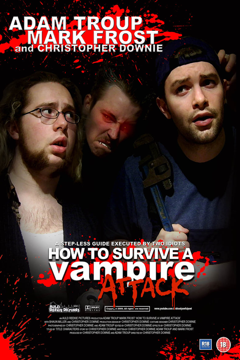 Poster of How To Survive A Vampire Attack