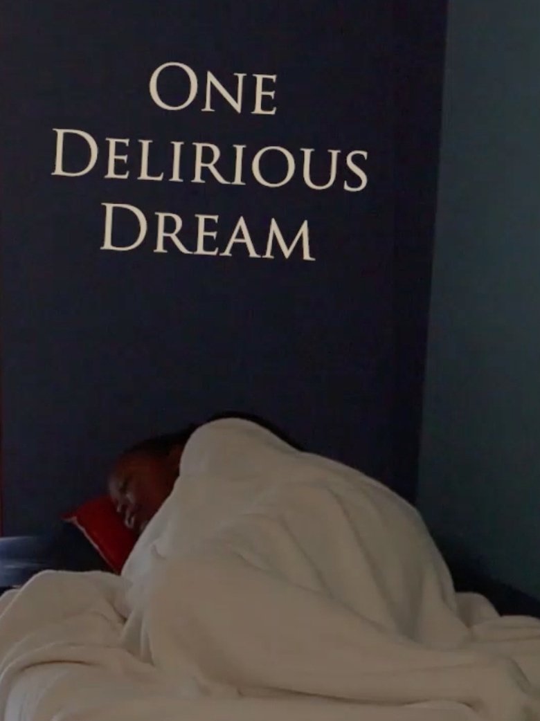 Poster of One Delirious Dream