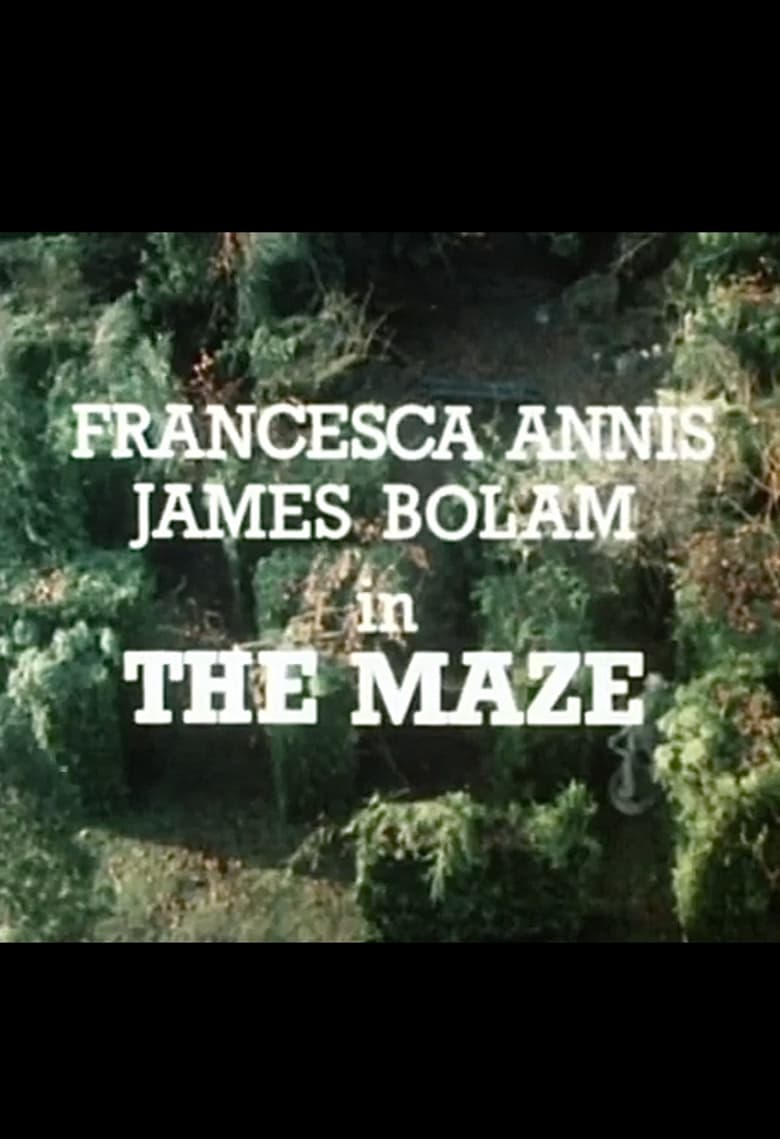 Poster of The Maze