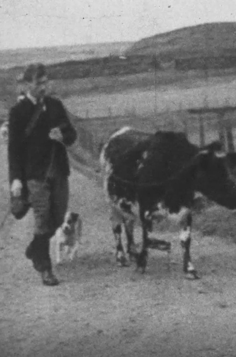 Poster of A Cattle Sale