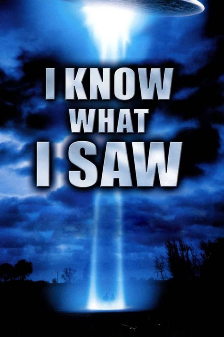 Poster of I Know What I Saw