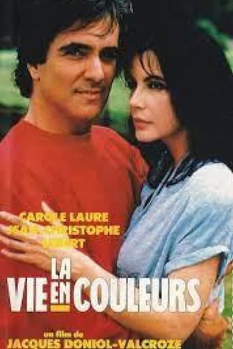 Poster of La vie en couleurs