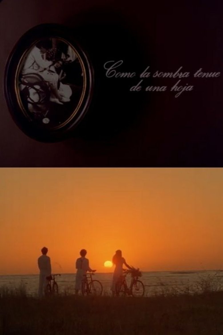 Poster of Como la sombra tenue de una hoja
