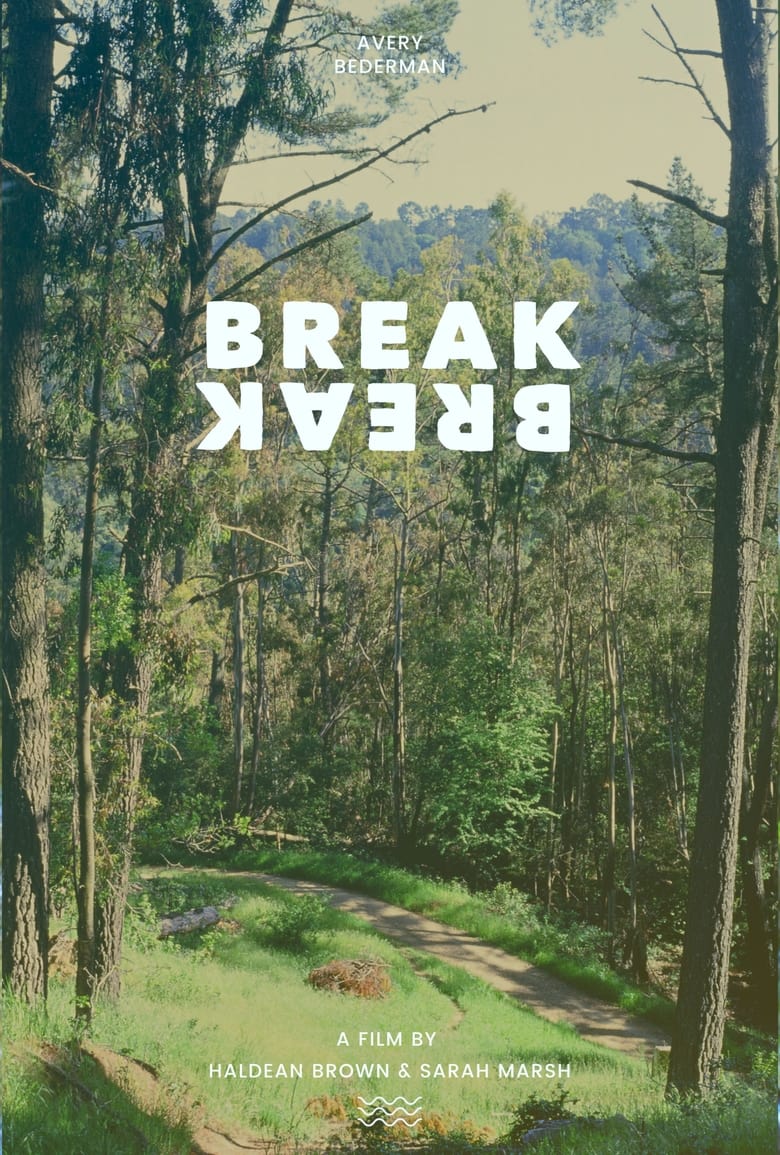 Poster of Break Break