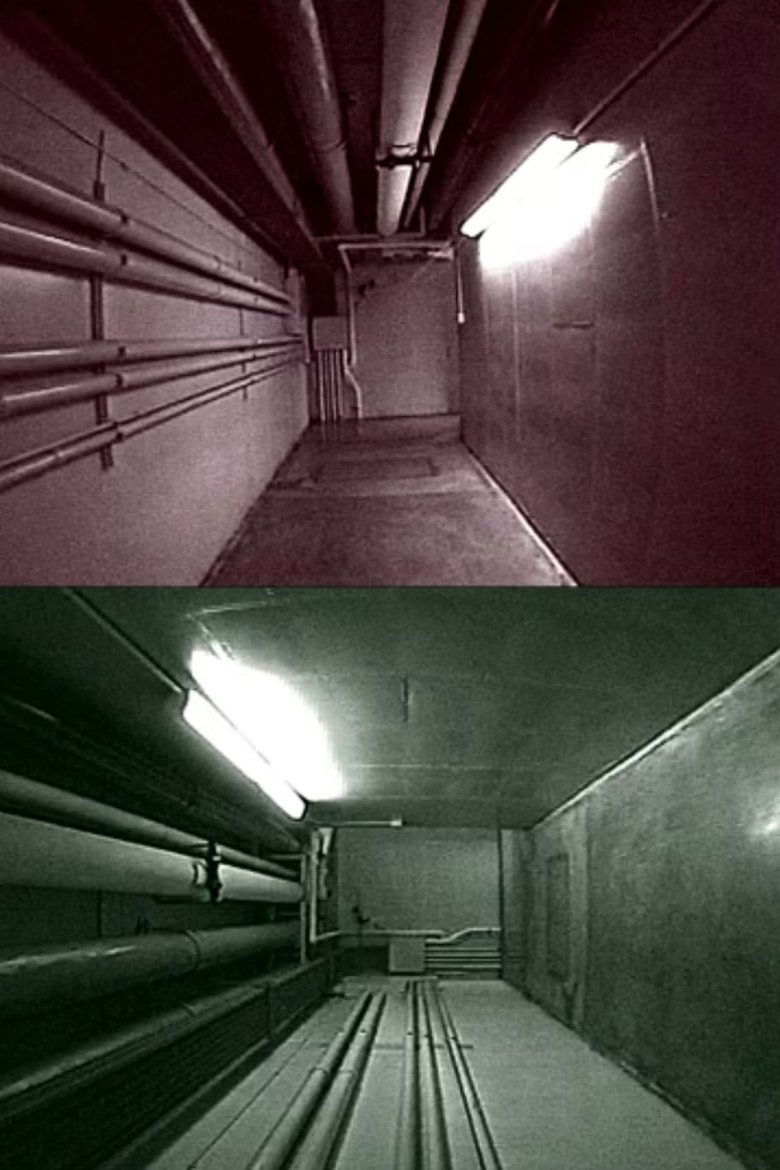 Poster of Meandering Modules