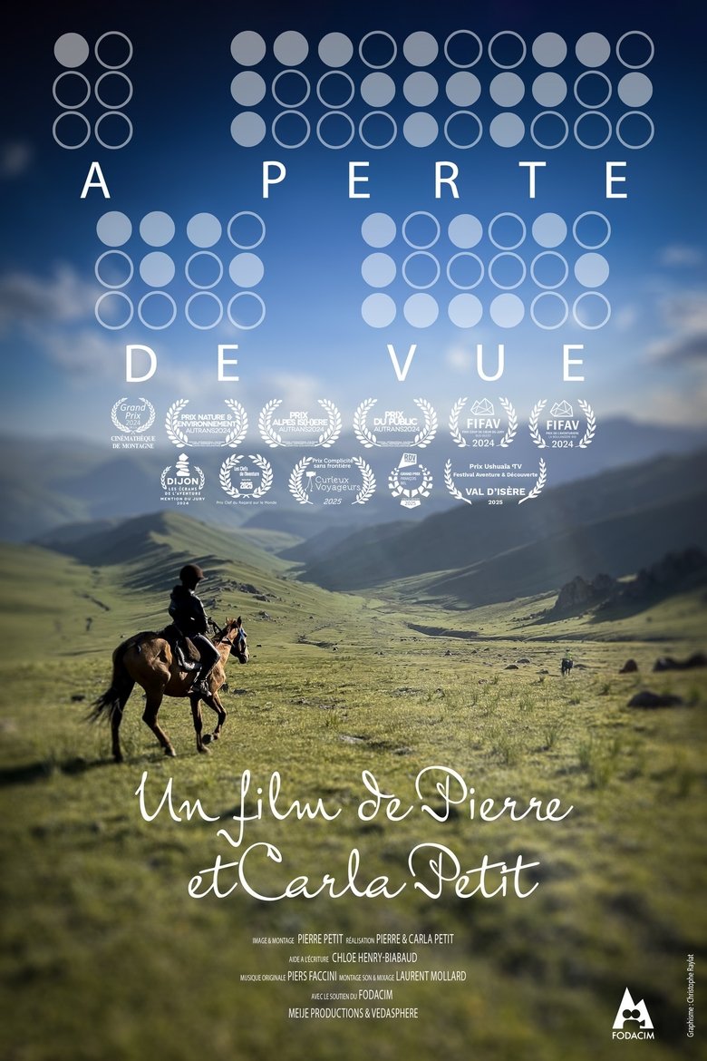 Poster of A Part of the View