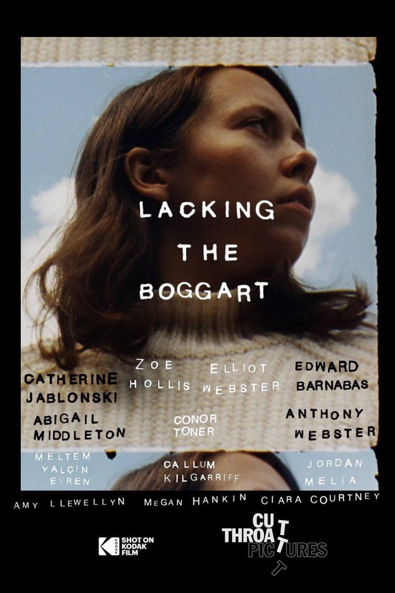 Poster of Lacking The Boggart