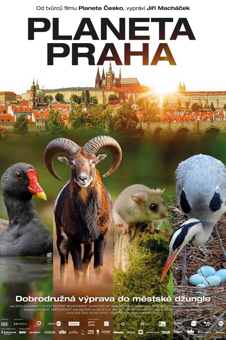 Poster of Wild Prague