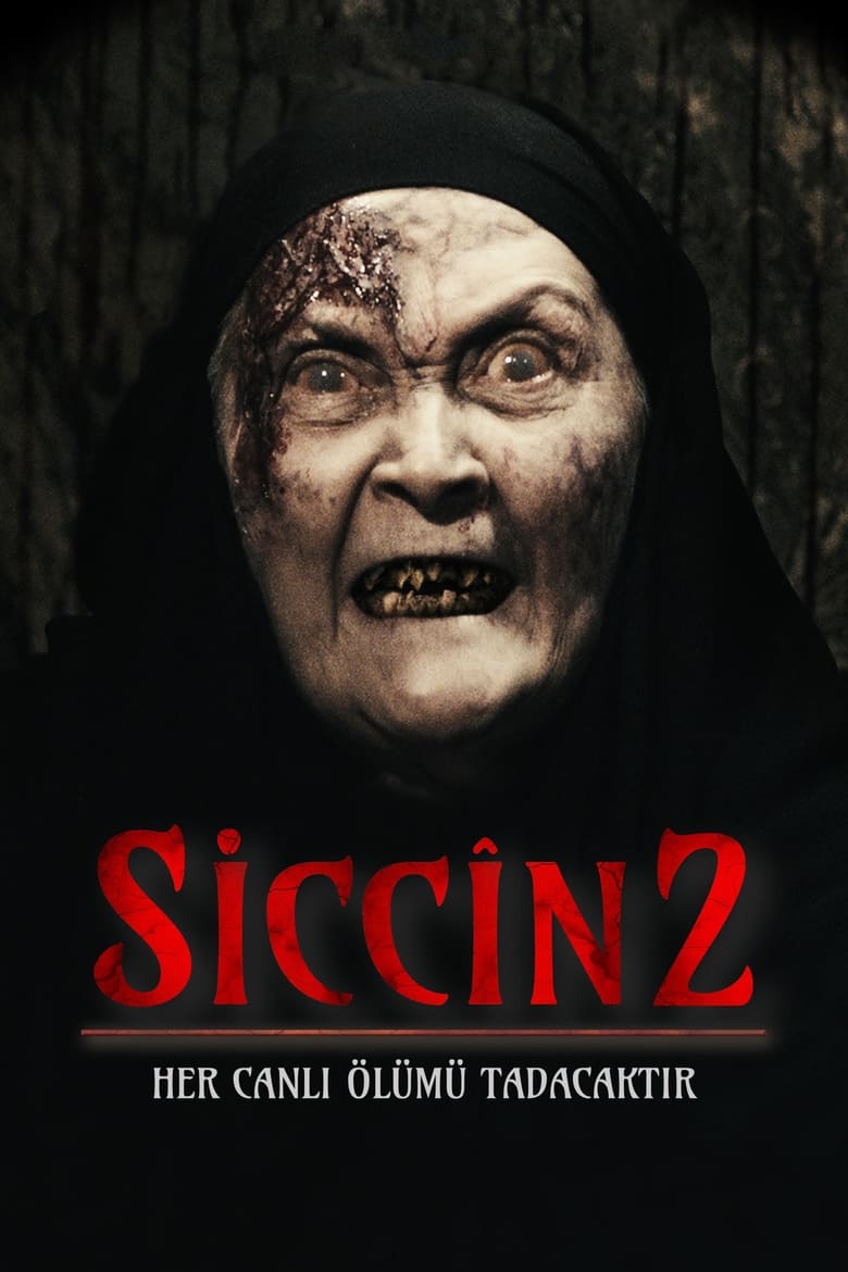 Poster of Sijjin 2