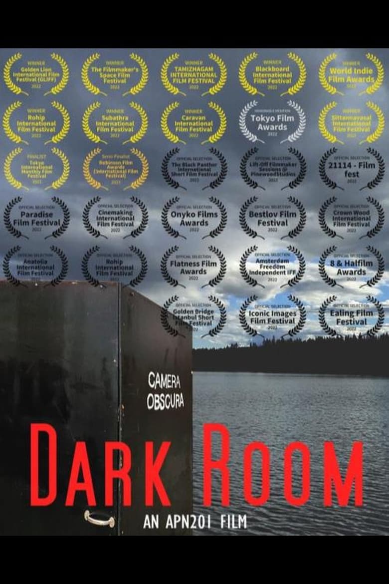 Poster of Dark Room