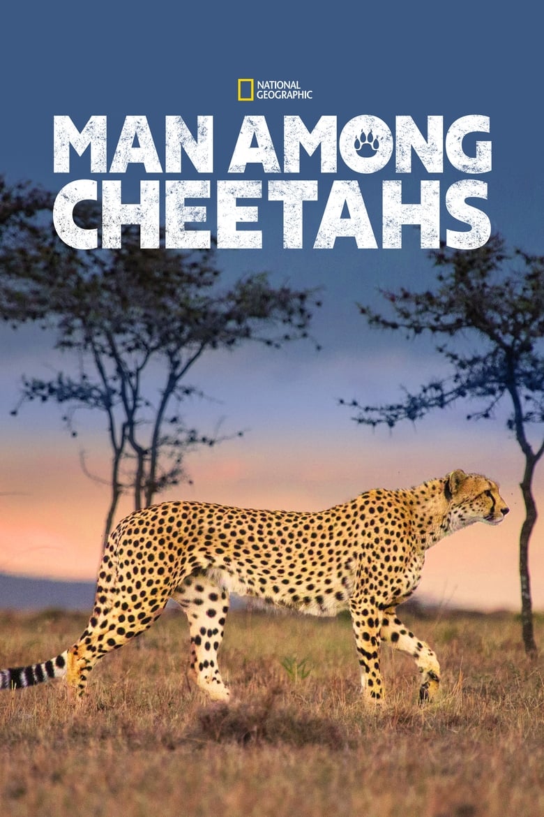 Poster of Man Among Cheetahs