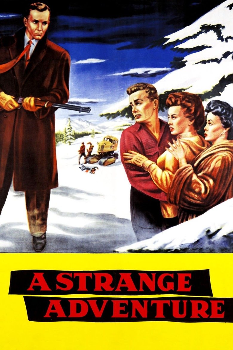 Poster of A Strange Adventure