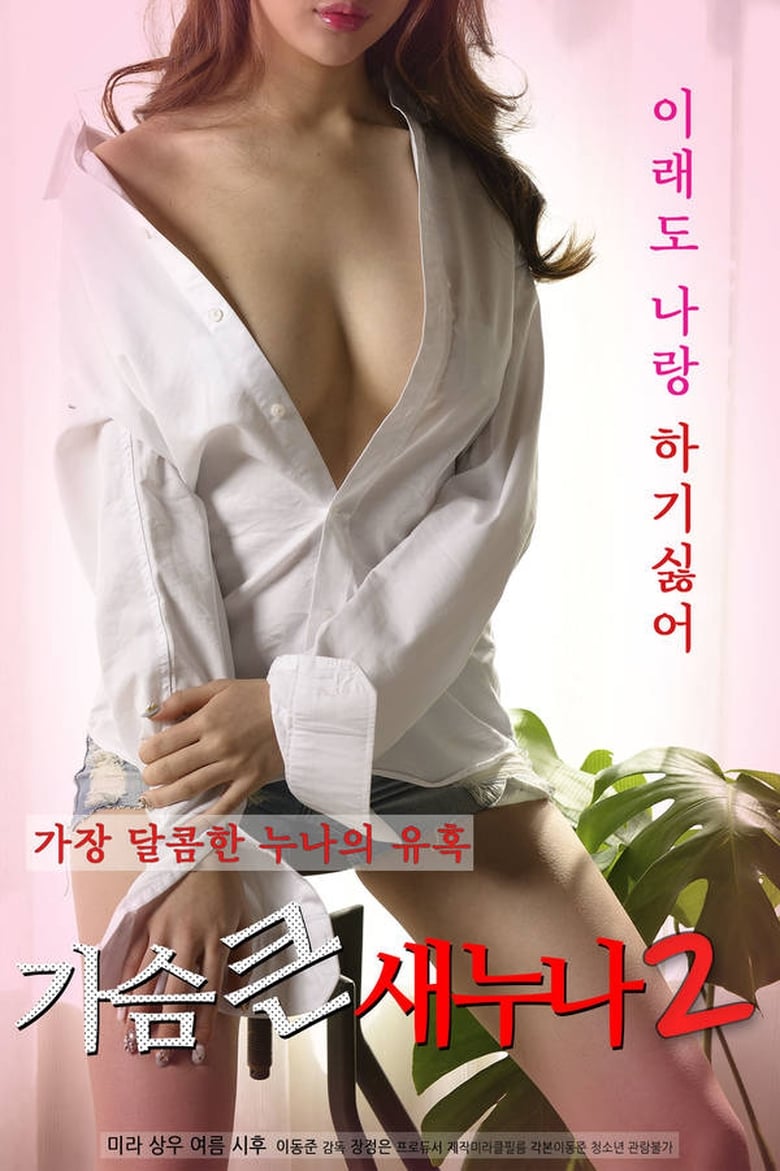 Poster of Big Breasts Sister 2