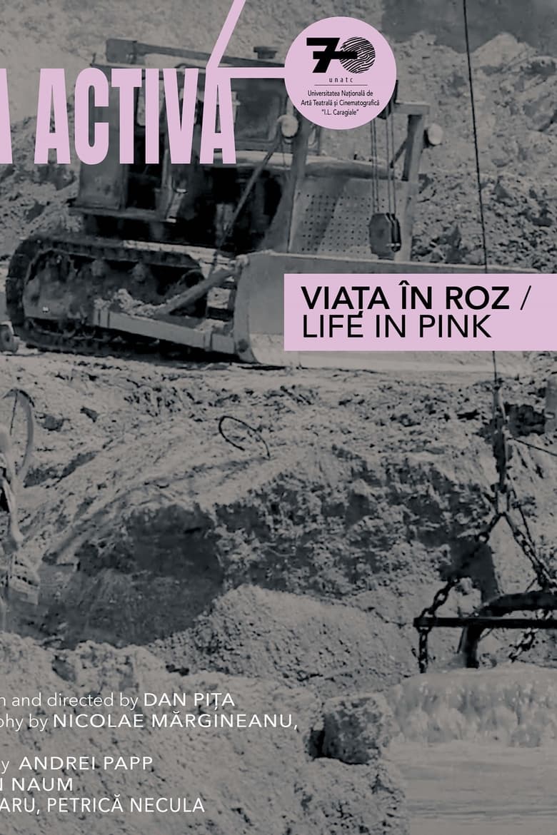 Poster of Life in Pink