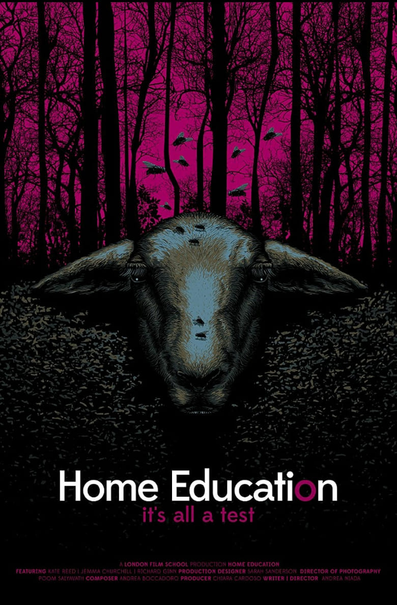 Poster of Home Education