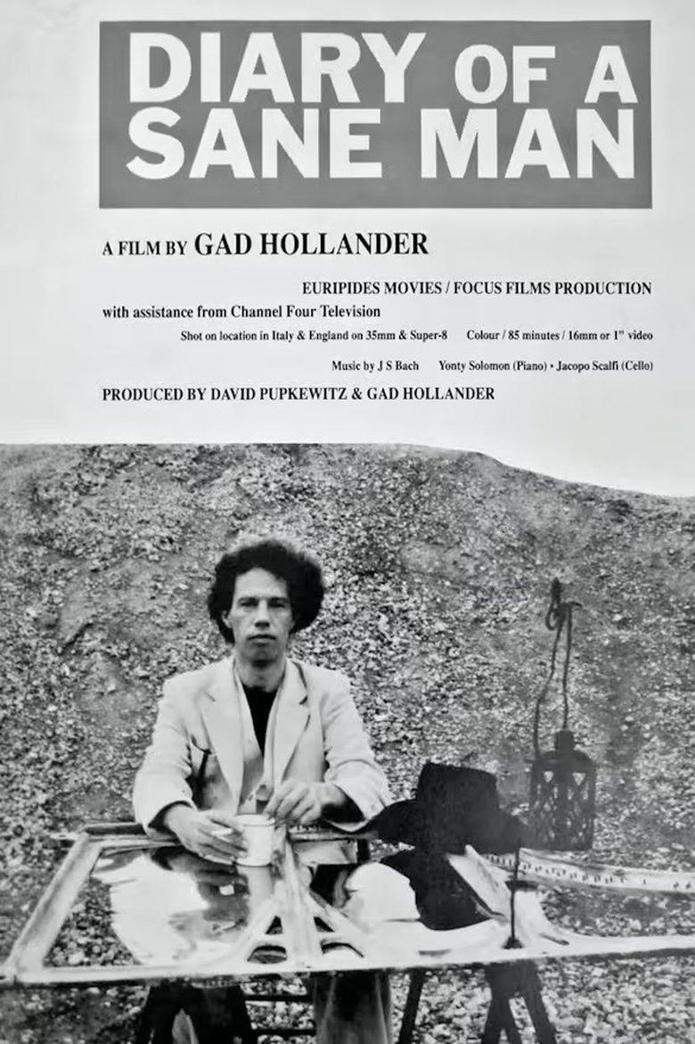 Poster of Diary of a Sane Man