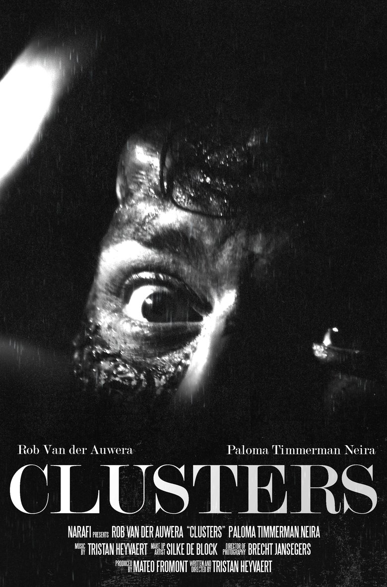 Poster of Clusters