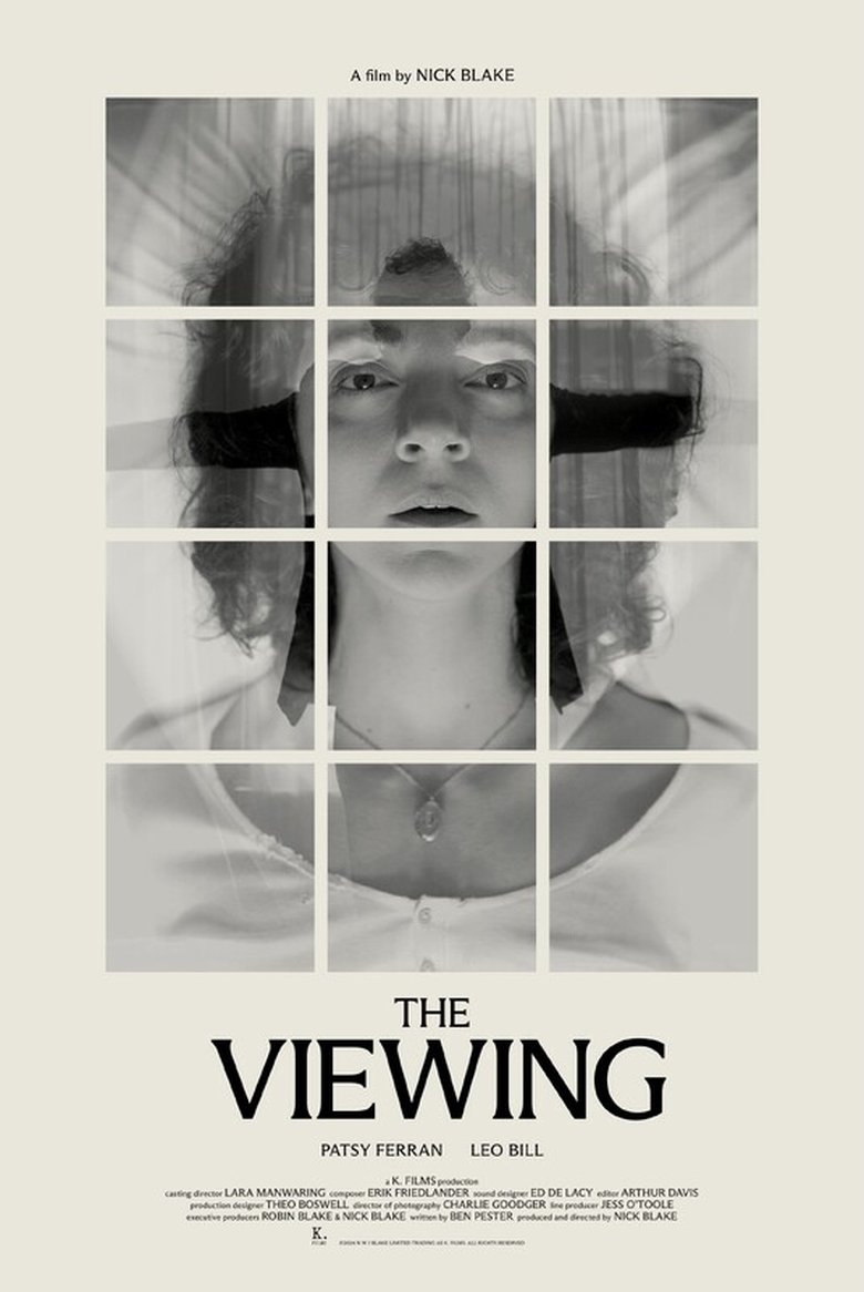 Poster of The Viewing