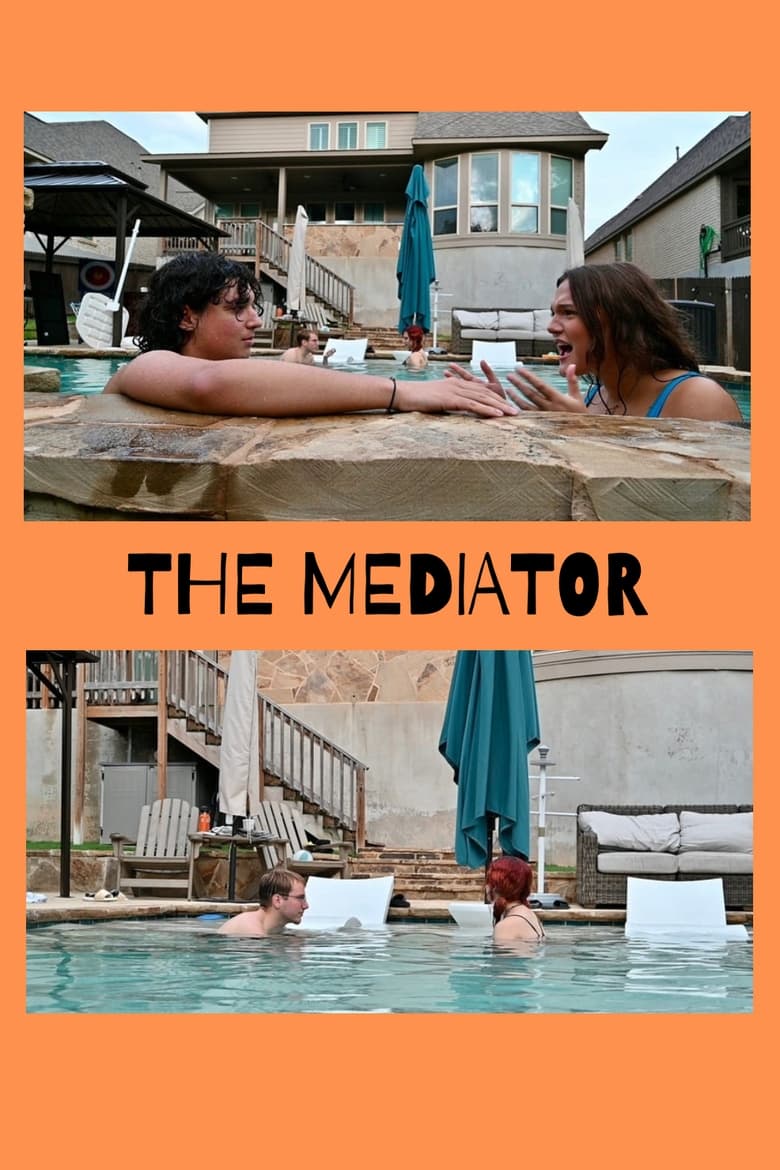 Poster of The Mediator