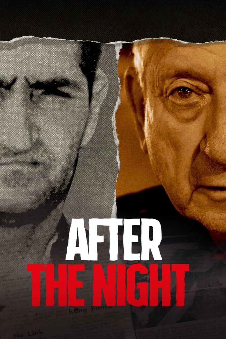 Poster of After the Night