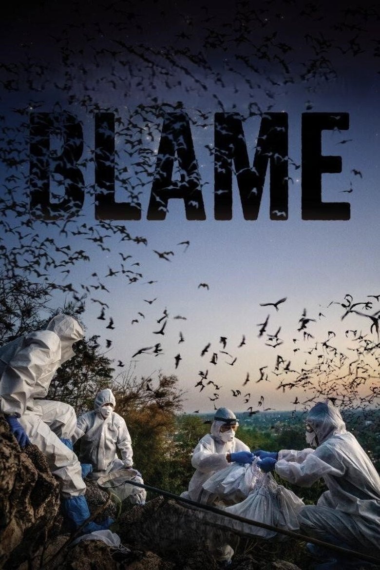 Poster of Blame