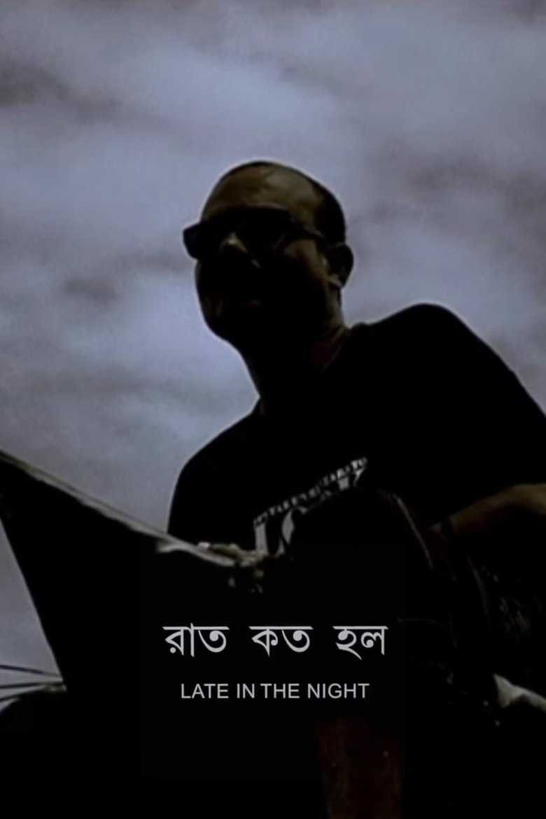 Poster of Late in the Night