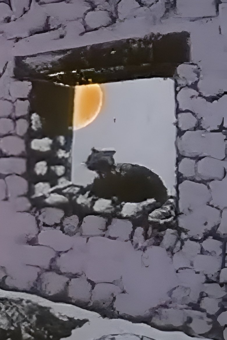 Poster of The Chameleon Cat